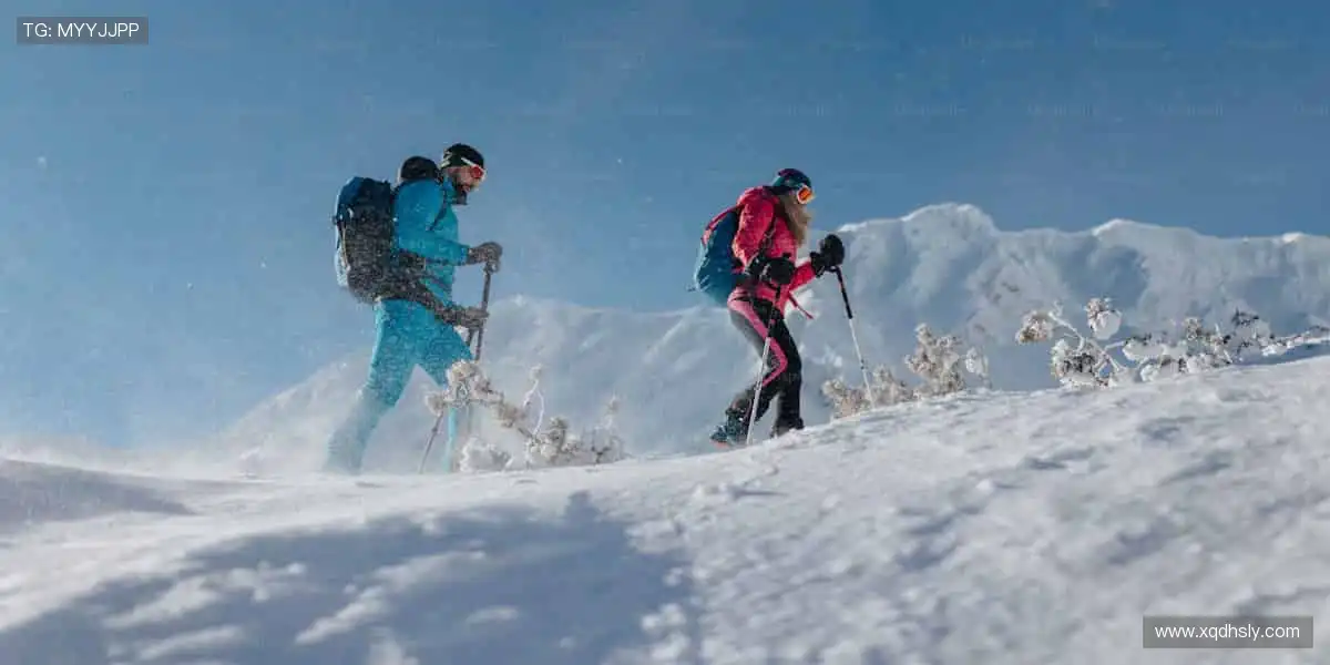 畅享全球赛事，指尖掌控精彩！📺